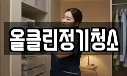올클린정기청소