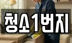 청소1번지