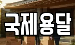 국제용달