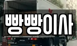 빵빵이사