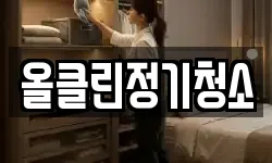 올클린정기청소