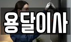 용달이사