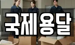 국제용달