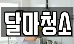 달마청소