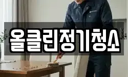올클린정기청소