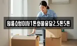원룸소형이사1톤화물용달2.5톤5톤