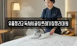 전북특별자치도 전주시 완산구 전동 청소,입주청소,사무실청소,에어컨청소