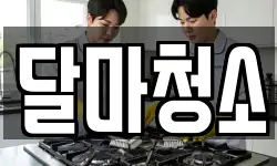 달마청소