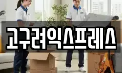 고구려익스프레스
