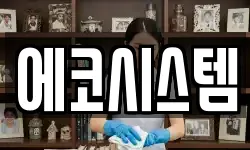 에코시스템
