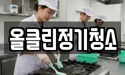 올클린정기청소