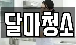 달마청소
