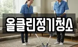 올클린정기청소