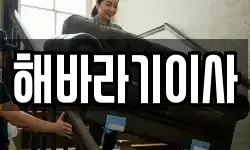 해바라기이사