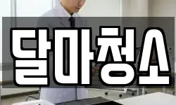 달마청소