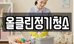 올클린정기청소