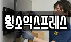황소익스프레스