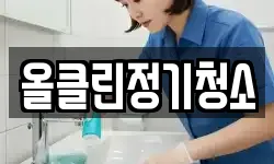 올클린정기청소