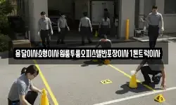 용달이사소형이사원룸투룸오피스텔반포장이사1톤트럭이사