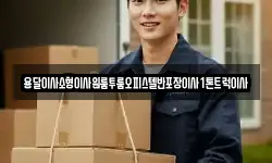 용달이사소형이사원룸투룸오피스텔반포장이사1톤트럭이사