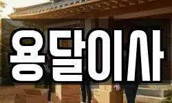 용달이사