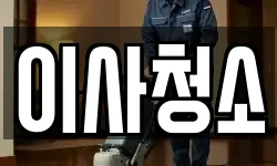 이사청소