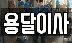 용달이사