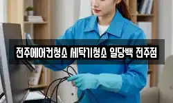 전주에어컨청소 세탁기청소 일당백 전주점
