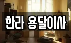 한라 용달이사