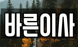 바른이사