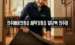 전주에어컨청소 세탁기청소 일당백 전주점