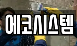 에코시스템