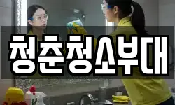 전북특별자치도 전주시 완산구 풍남동2가 청소,입주청소,사무실청소,에어컨청소