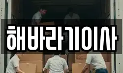해바라기이사