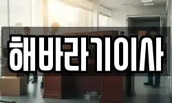 해바라기이사
