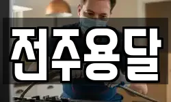 전주용달
