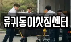 류귀동이삿짐센터