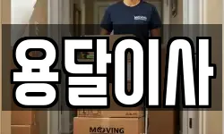 용달이사
