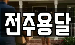 전주용달