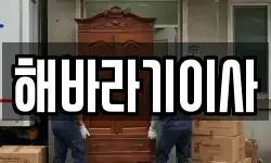 해바라기이사