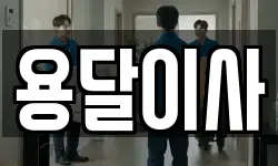 용달이사