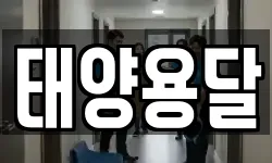 태양용달
