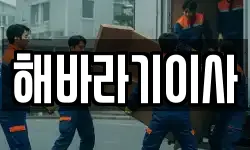 해바라기이사