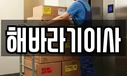 해바라기이사