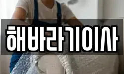 해바라기이사