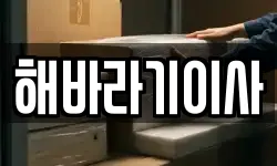 전북특별자치도 정읍시 덕천면 이사,용달이사,포장이사,원룸이사,보관이사