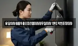 용달이사원룸투룸오피스텔이사사무실이사1톤트럭반포장이사