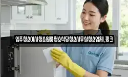 입주청소이사청소원룸청소식당청소사무실청소업체,핑크