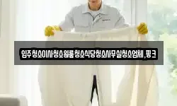 입주청소이사청소원룸청소식당청소사무실청소업체,핑크