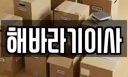 해바라기이사